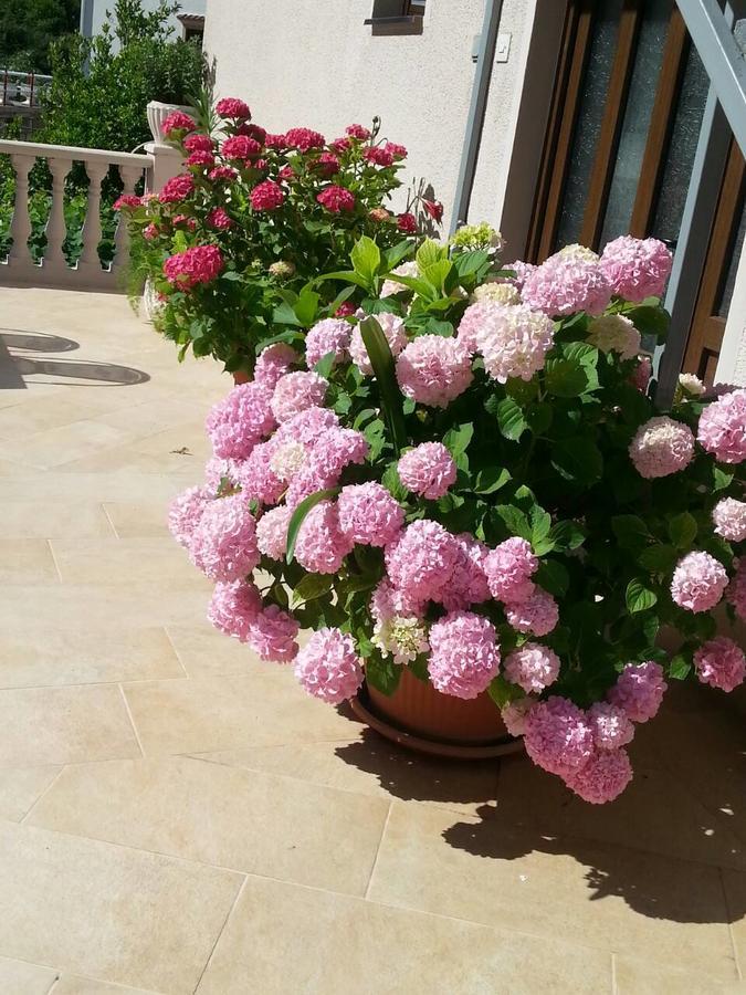 Azure Adriatic Apartment Kotor Exterior photo